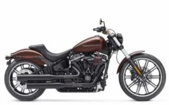 Harley Davidson Screamin Eagle Premium Tapered Quick-Install Einstellbare Stößelstangen 7 Harley Davidson Screamin Eagle Premium Tapered Quick-Install Einstellbare Stößelstangen -Harley Davidson Store 17900073 3