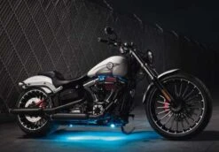 Harley Davidson Reduced Reach Einzelsitz 14,5" -Harley Davidson Store 52000099 4