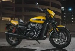 Harley Davidson Reach Rider Sitz 10.75" 6 Harley Davidson Reach Rider Sitz 10.75" -Harley Davidson Store 52000375 31